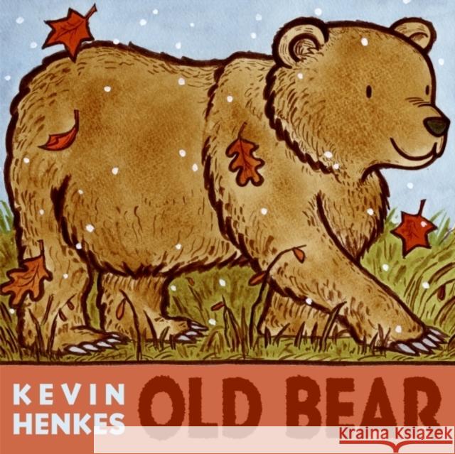 Old Bear Kevin Henkes 9780061552052 Greenwillow Books