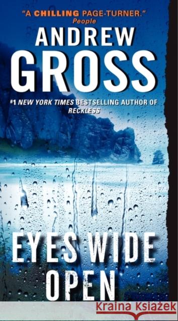 Eyes Wide Open Andrew Gross 9780061656026