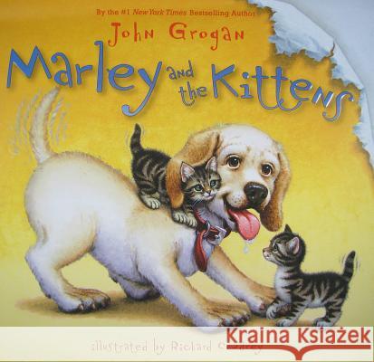 Marley and the Kittens John Grogan Richard Cowdrey 9780061714863 HarperCollins