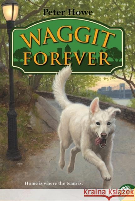 Waggit Forever Peter Howe Omar Rayyan 9780061765162 HarperCollins