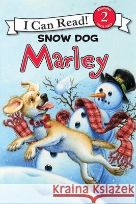 Marley: Snow Dog Marley: A Winter and Holiday Book for Kids Grogan, John 9780061853920