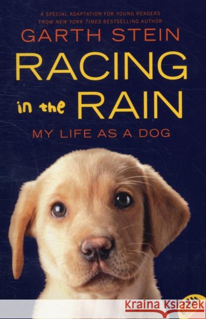 Racing in the Rain: My Life as a Dog Garth Stein 9780062015761