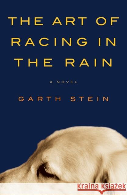 The Art of Racing in the Rain Stein, Garth 9780062023063