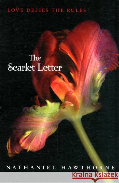 The Scarlet Letter Nathaniel Hawthorne 9780062066022 Harper Teen
