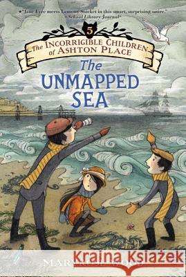 The Incorrigible Children of Ashton Place: Book V: The Unmapped Sea Maryrose Wood Eliza Wheeler 9780062110428 Balzer & Bray/Harperteen