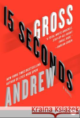 15 Seconds Andrew Gross 9780062128379