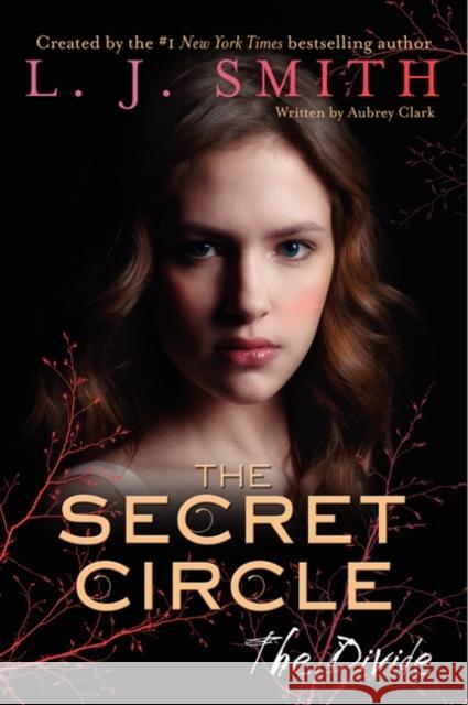 The Divide L. J. Smith 9780062130419 Harper Teen