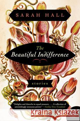 The Beautiful Indifference: Stories Sarah Hall 9780062208453 Harper Perennial