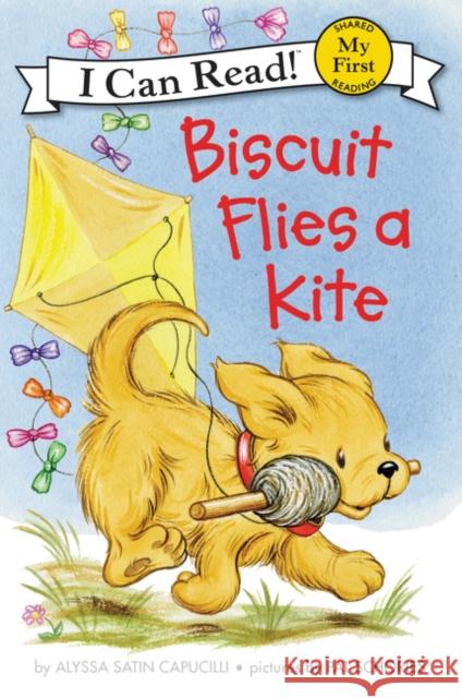 Biscuit Flies a Kite Alyssa Satin Capucilli Pat Schories 9780062237019 HarperCollins