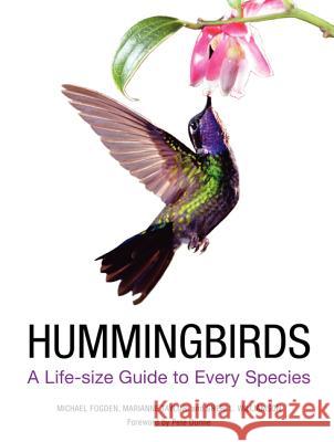Hummingbirds: A Life-Size Guide to Every Species Michael Fogden Patricia Fogden 9780062280640 Harper Design