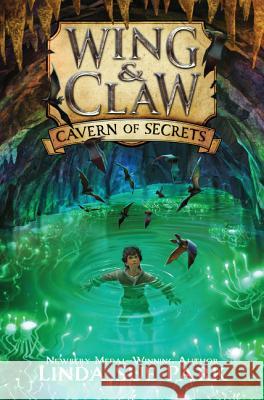 Cavern of Secrets Linda Sue Park Jim Madsen 9780062327413