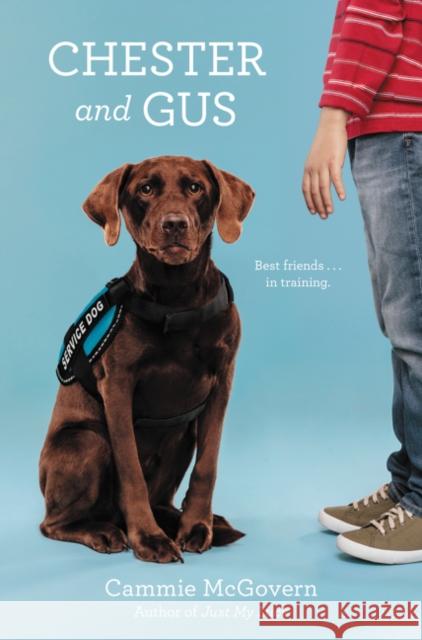 Chester and Gus Cammie McGovern 9780062330697 HarperCollins