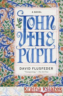 John the Pupil D. L. Flusfeder David Flusfeder 9780062339195 Harper Perennial