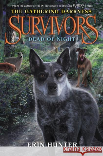Survivors: The Gathering Darkness #2: Dead of Night Hunter, Erin 9780062343376