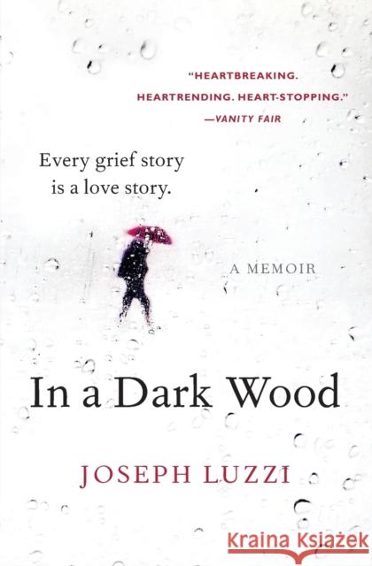 In a Dark Wood: A Memoir Joseph Luzzi 9780062357526 Harper Wave