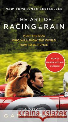 The Art of Racing in the Rain Movie Tie-In Edition Stein, Garth 9780062370945 Harper