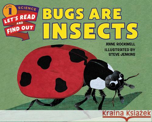 Bugs Are Insects Anne Rockwell Steve Jenkins 9780062381828