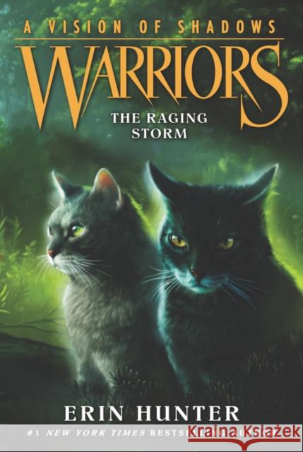 Warriors: A Vision of Shadows #6: The Raging Storm  9780062386595 HarperCollins Publishers Inc