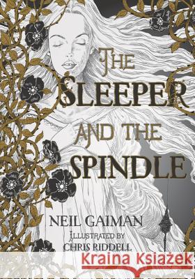 The Sleeper and the Spindle Neil Gaiman Chris Riddell 9780062398253 HarperCollins