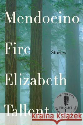 Mendocino Fire: Stories Elizabeth Tallent 9780062410351 Harper Perennial