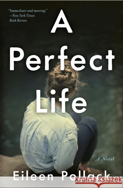 A Perfect Life Eileen Pollack 9780062419187 Ecco Press