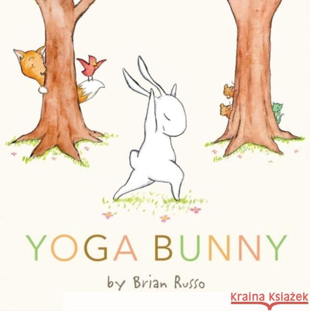 Yoga Bunny: An Easter And Springtime Book For Kids  9780062429520 HarperCollins