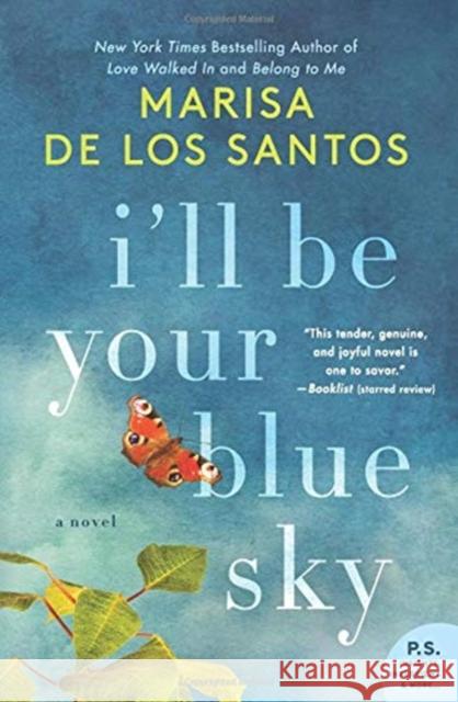 I'll Be Your Blue Sky Marisa D 9780062431943 HarperCollins Publishers Inc