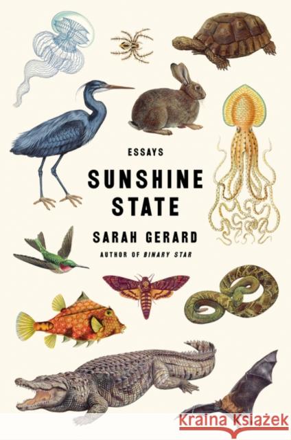 Sunshine State: Essays Sarah Gerard 9780062434876