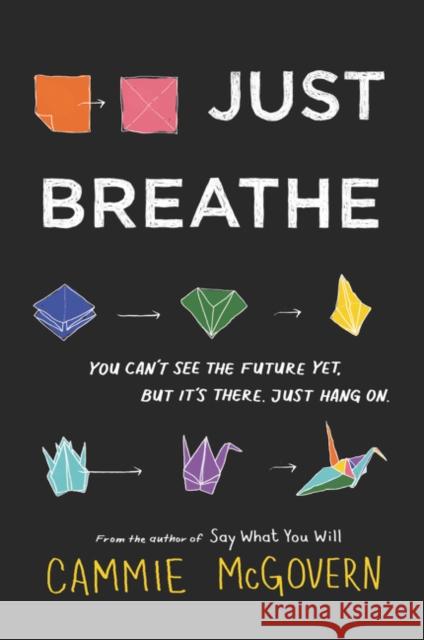 Just Breathe Cammie McGovern 9780062463364 HarperCollins