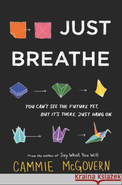 Just Breathe Cammie McGovern 9780062463364