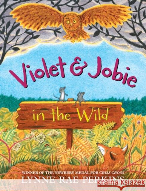 Violet and Jobie in the Wild Lynne Rae Perkins Lynne Rae Perkins 9780062499691 Greenwillow Books