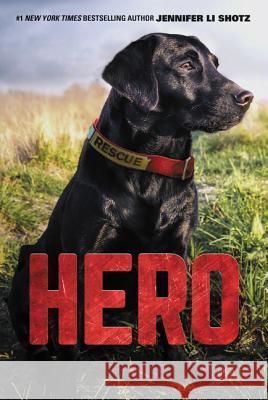 Hero Jennifer Li Shotz 9780062560391