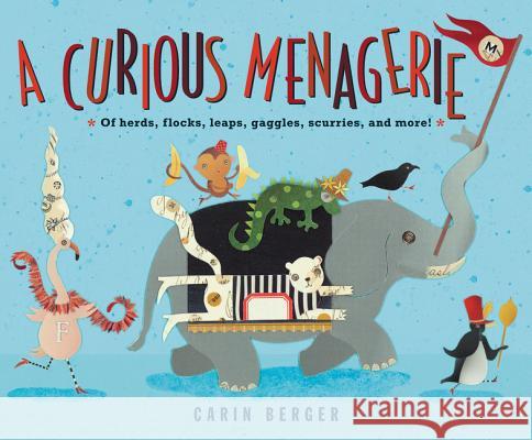 A Curious Menagerie: Of Herds, Flocks, Leaps, Gaggles, Scurries, and More! Carin Berger Carin Berger 9780062644572 Greenwillow Books