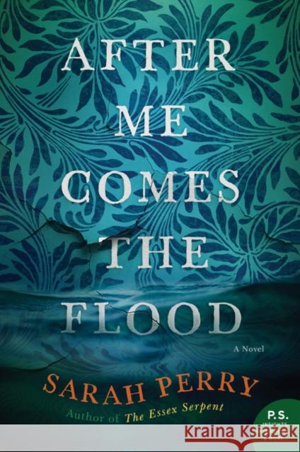 After Me Comes the Flood Sarah Perry 9780062666406 Custom House