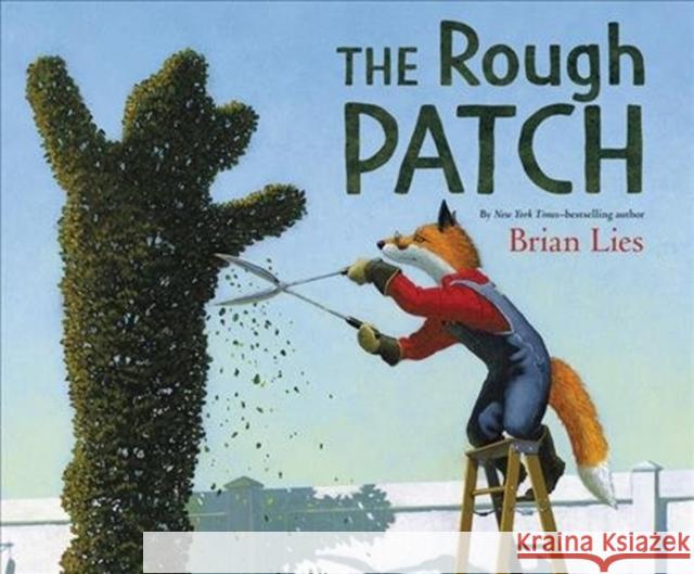 The Rough Patch: A Caldecott Honor Award Winner Brian Lies 9780062671271