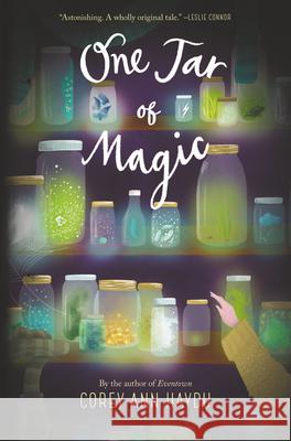 One Jar of Magic Corey Ann Haydu 9780062689856 Katherine Tegen Books
