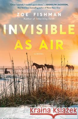 Invisible as Air Fishman, Zoe 9780062838230 William Morrow & Company