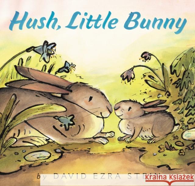 Hush, Little Bunny David Ezra Stein David Ezra Stein 9780062845221