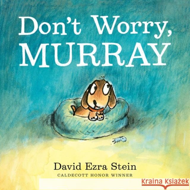 Don't Worry, Murray David Ezra Stein David Ezra Stein 9780062845245 Balzer & Bray/Harperteen