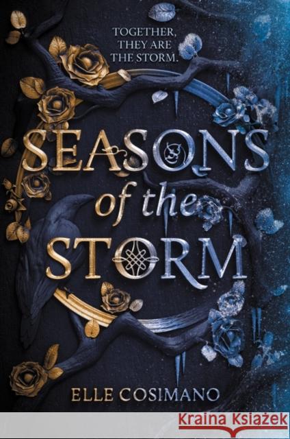 Seasons of the Storm Elle Cosimano 9780062854254 HarperCollins Publishers Inc