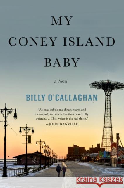 My Coney Island Baby Billy O'Callaghan 9780062856579 Harper Perennial