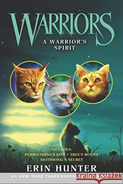 Warriors: A Warrior’s Spirit Erin Hunter 9780062857415 HarperCollins Publishers Inc