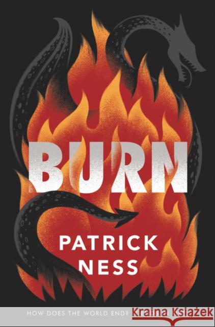 Burn Patrick Ness 9780062869500