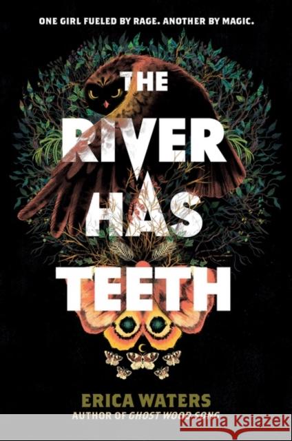 The River Has Teeth Erica Waters 9780062894267