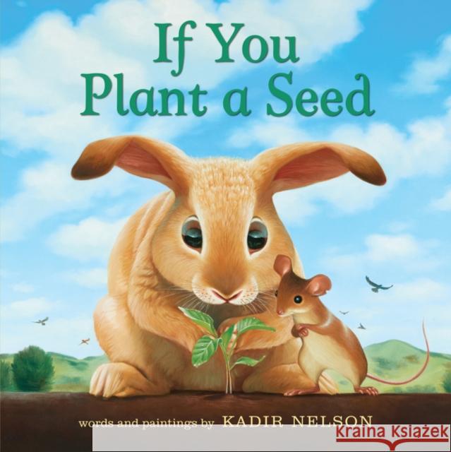 If You Plant a Seed Board Book: An Easter And Springtime Book For Kids  9780062932037 HarperCollins Publishers Inc