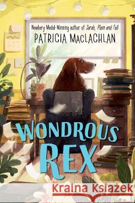 Wondrous Rex Patricia MacLachlan 9780062940988