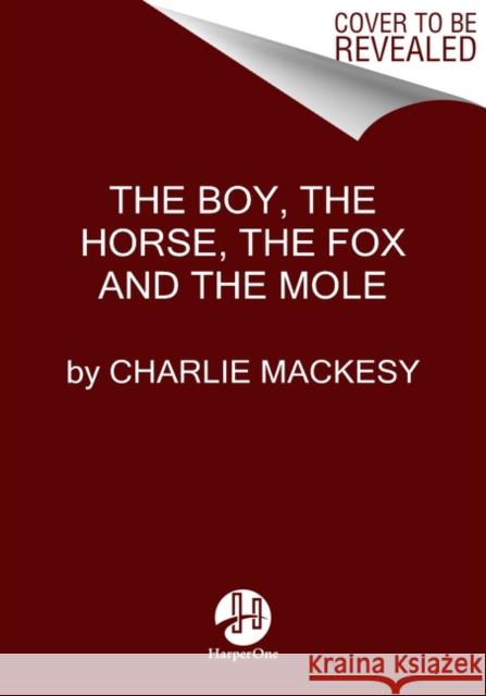 The Boy, the Mole, the Fox and the Horse Mackesy, Charlie 9780062976581 HarperCollins