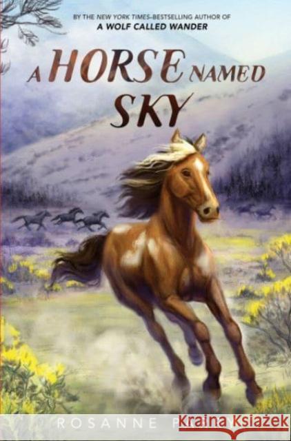 A Horse Named Sky Rosanne Parry Kirbi Fagan 9780062995957 HarperCollins Publishers Inc