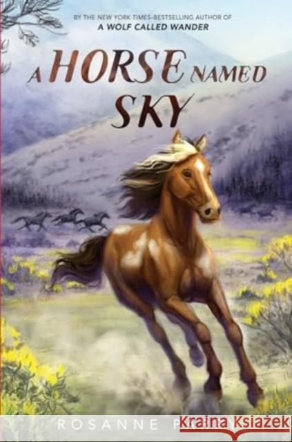 A Horse Named Sky Rosanne Parry Kirbi Fagan 9780062995964