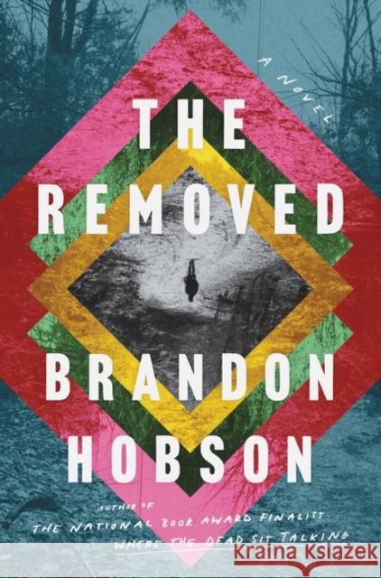 The Removed Brandon Hobson 9780062997548 Ecco Press